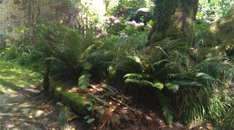 Finca rústica en venta en Barrio Axpe, Busturia, Bizkaia - imagen 3 Foto 3 de Finca rústica en venta en Barrio Axpe, Busturia, Bizkaia