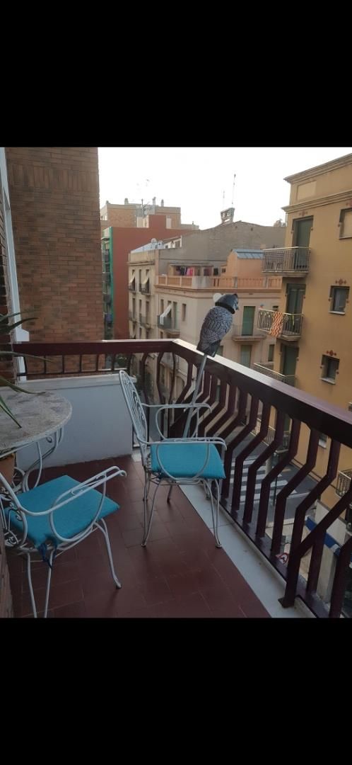 Terrassa de Pis en venda en  Tarragona Capital amb Balcó