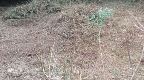 Casa adosada en venda a Barrio del Acebal, Bimenes, Asturias - imatge 3 Foto 3 de Casa adosada en venda a Barrio del Acebal, Bimenes, Asturias