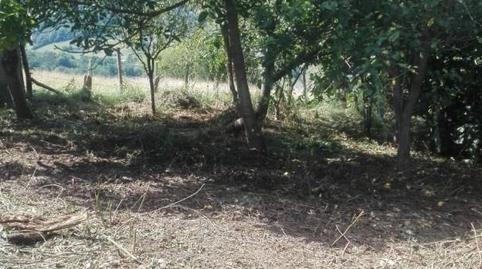 Casa adosada en venda a Barrio del Acebal, Bimenes, Asturias - imatge 2 Foto 2 de Casa adosada en venda a Barrio del Acebal, Bimenes, Asturias