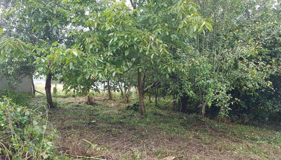 Casa adosada en venda a Barrio del Acebal, Bimenes, Asturias - imatge 1 Foto 1 de Casa adosada en venda a Barrio del Acebal, Bimenes, Asturias
