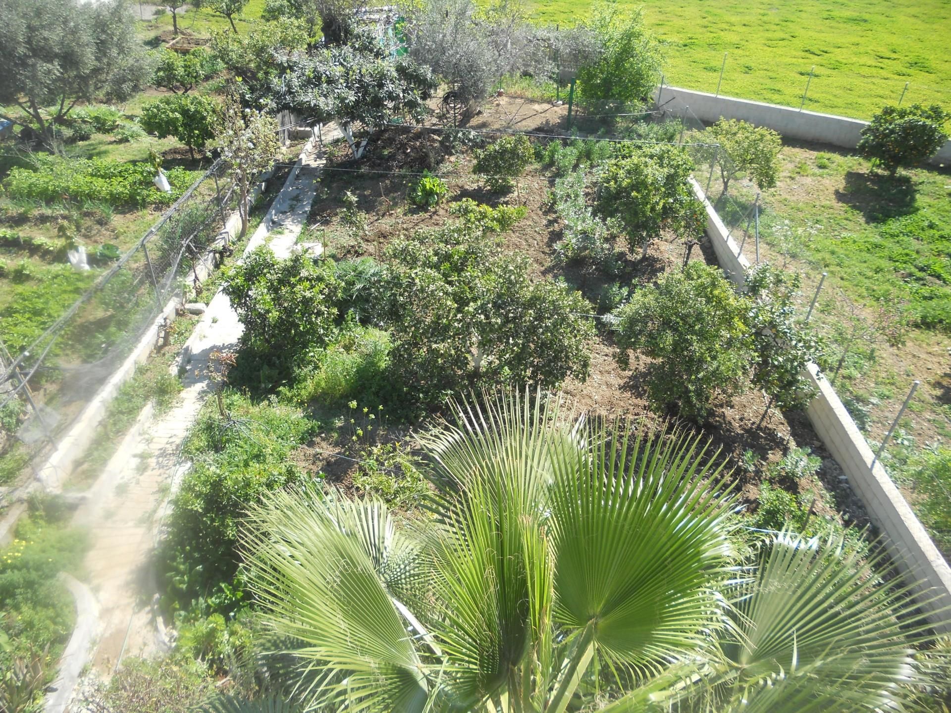 Garden of Land for sale in Cártama