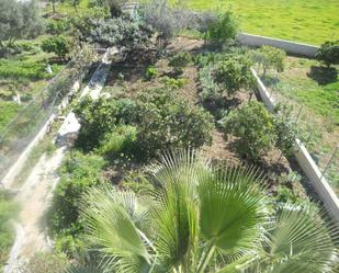 Jardí de Terreny en venda en Cártama