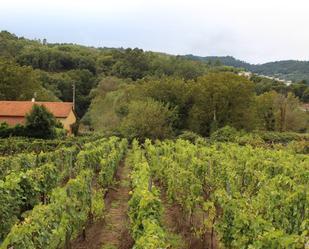 Garten von Grundstücke zum verkauf in Leiro