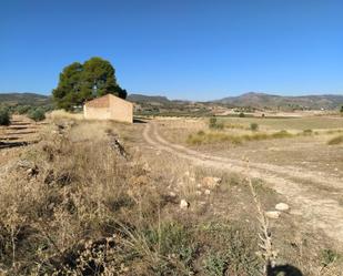 Land for sale in Yeste