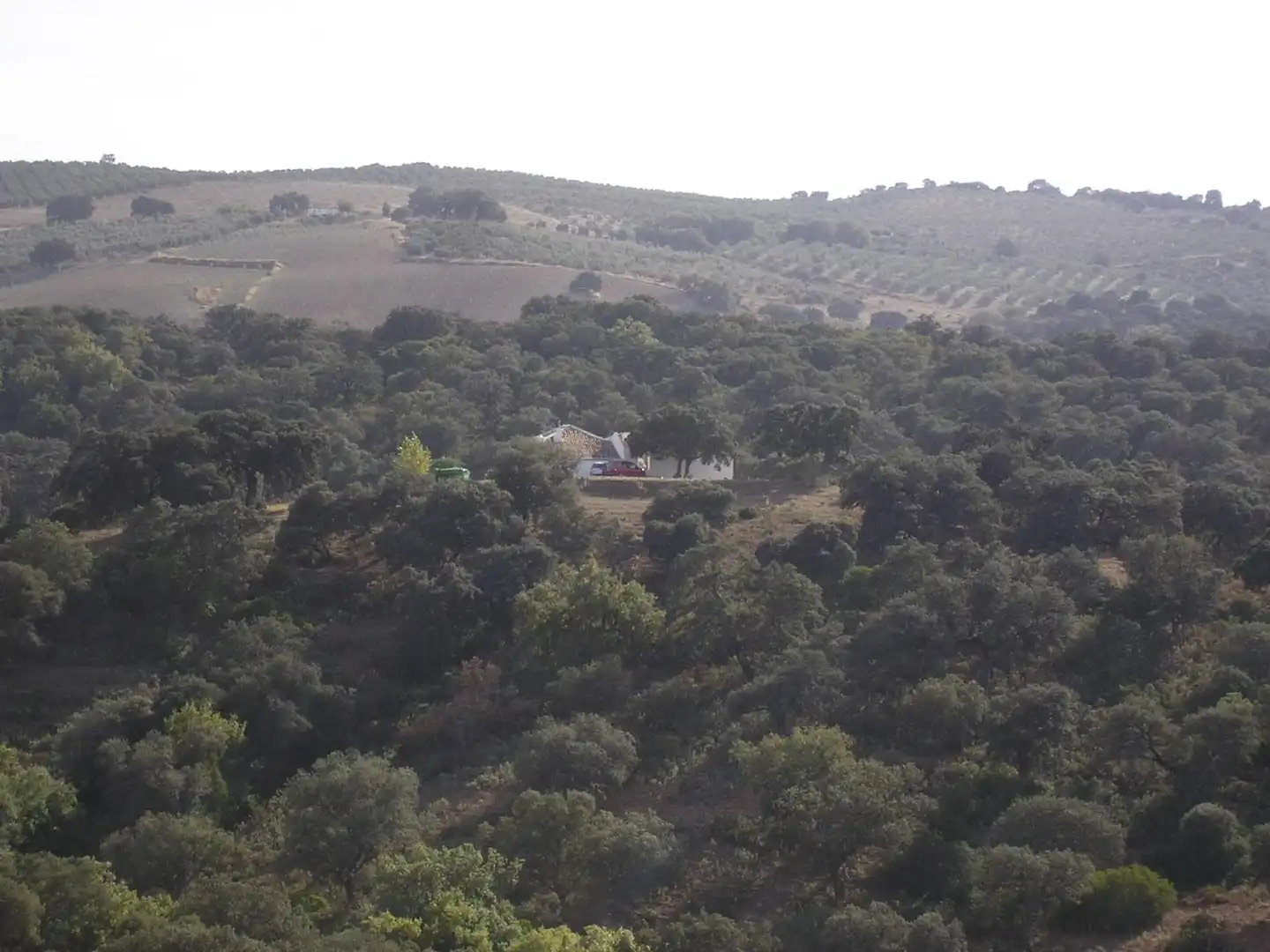 Terreno en venta en Carretera Morón, Villanueva de San Juan Terreno en venta en Villanueva de San Juan
