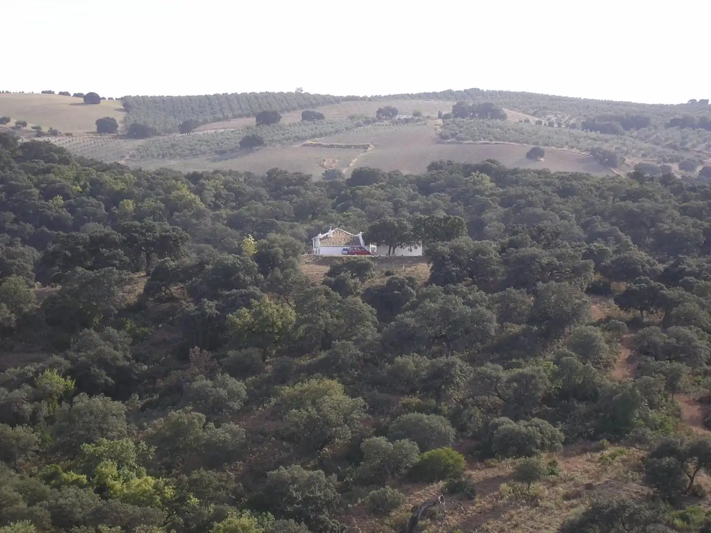 Terreno en venta en Carretera Morón, Villanueva de San Juan Terreno en venta en Villanueva de San Juan