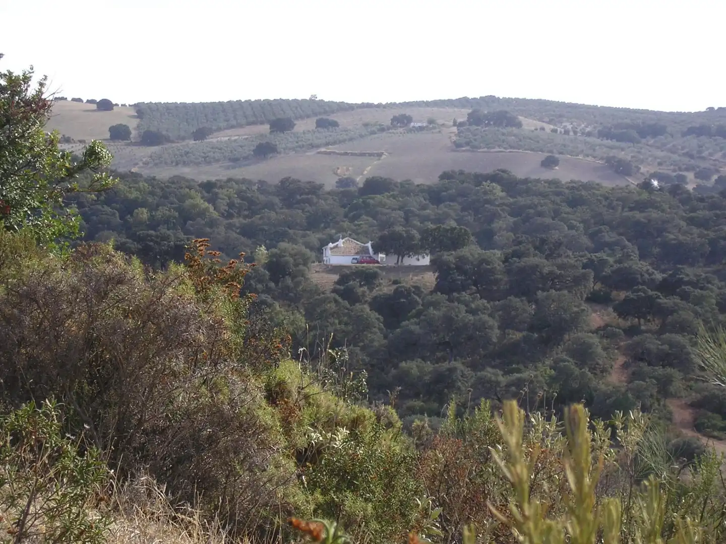 Terreno en venta en Carretera Morón, Villanueva de San Juan Jardín de Terreno en venta en Villanueva de San Juan