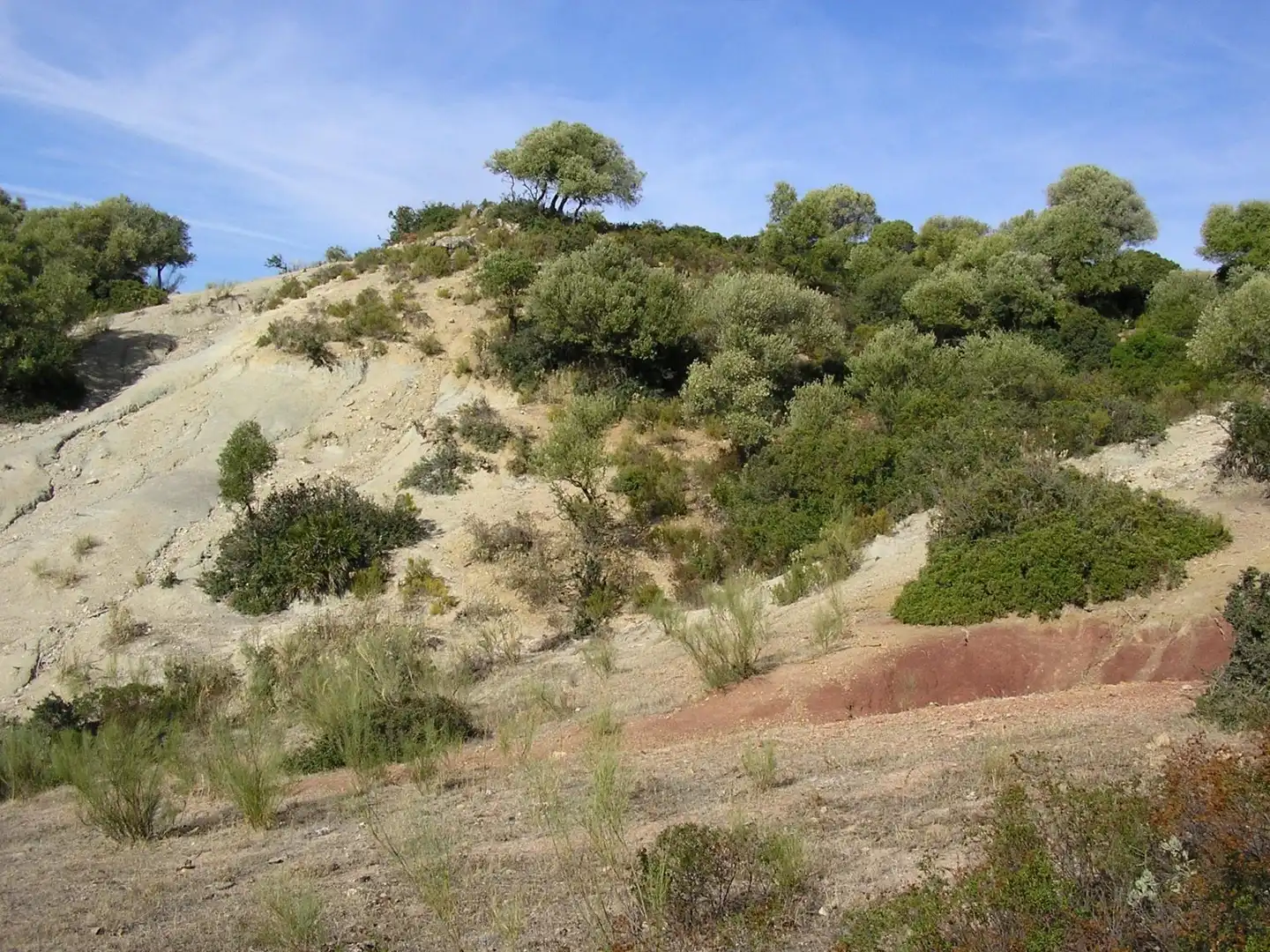 Terreno en venta en Carretera Morón, Villanueva de San Juan Terreno en venta en Villanueva de San Juan