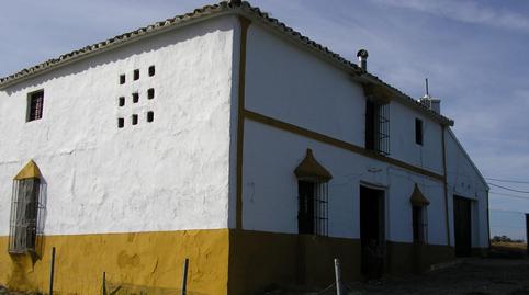 Photo 3 of Land for sale in Carretera Morón, Villanueva de San Juan, Sevilla