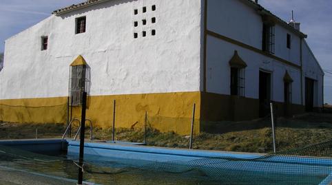 Photo 4 of Land for sale in Carretera Morón, Villanueva de San Juan, Sevilla