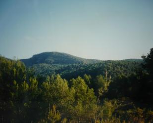 Terreny en venda en La Torre de l'Espanyol