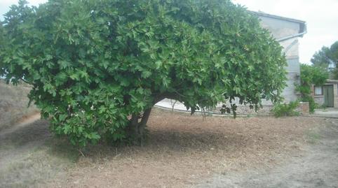 Finca rústica en venda a C-37, Santa Maria de Miralles, Barcelona - imatge 4 Foto 4 de Finca rústica en venda a C-37, Santa Maria de Miralles, Barcelona