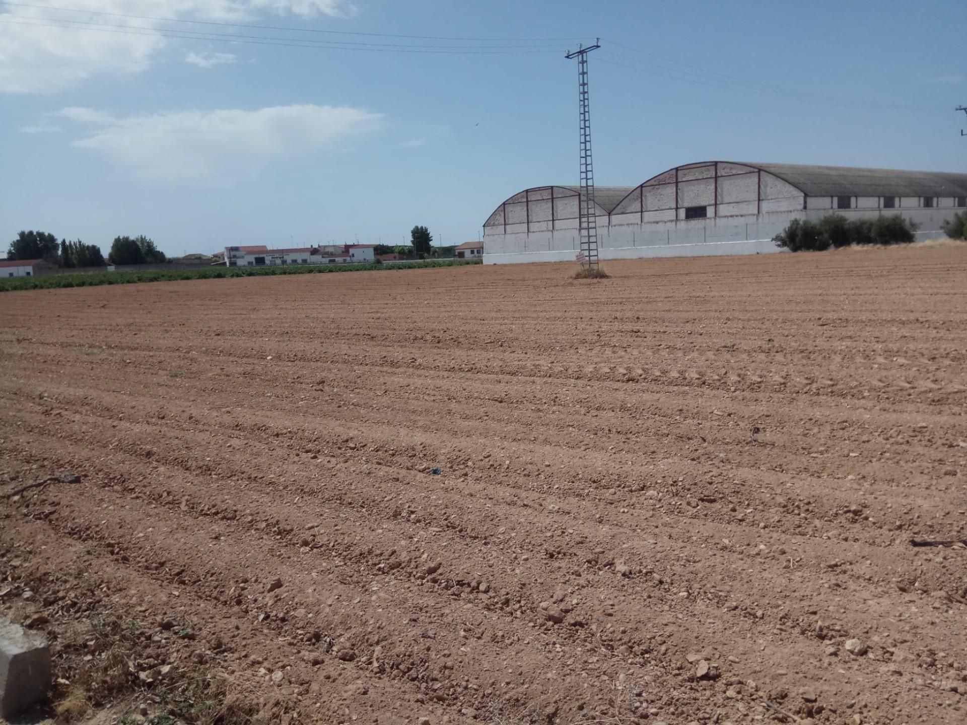 Constructible Land for sale in El Provencio  