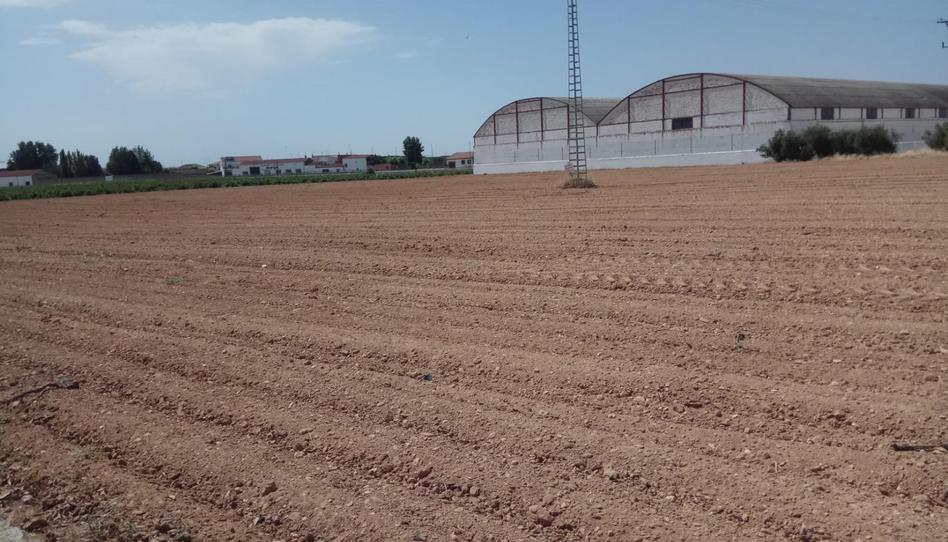 Urbanitzable en venda a Calle Molineta, El Provencio , Cuenca - imatge 1 Foto 1 de Urbanitzable en venda a Calle Molineta, El Provencio , Cuenca