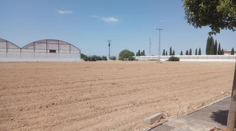 Urbanitzable en venda a Calle Molineta, El Provencio , Cuenca - imatge 2 Foto 2 de Urbanitzable en venda a Calle Molineta, El Provencio , Cuenca