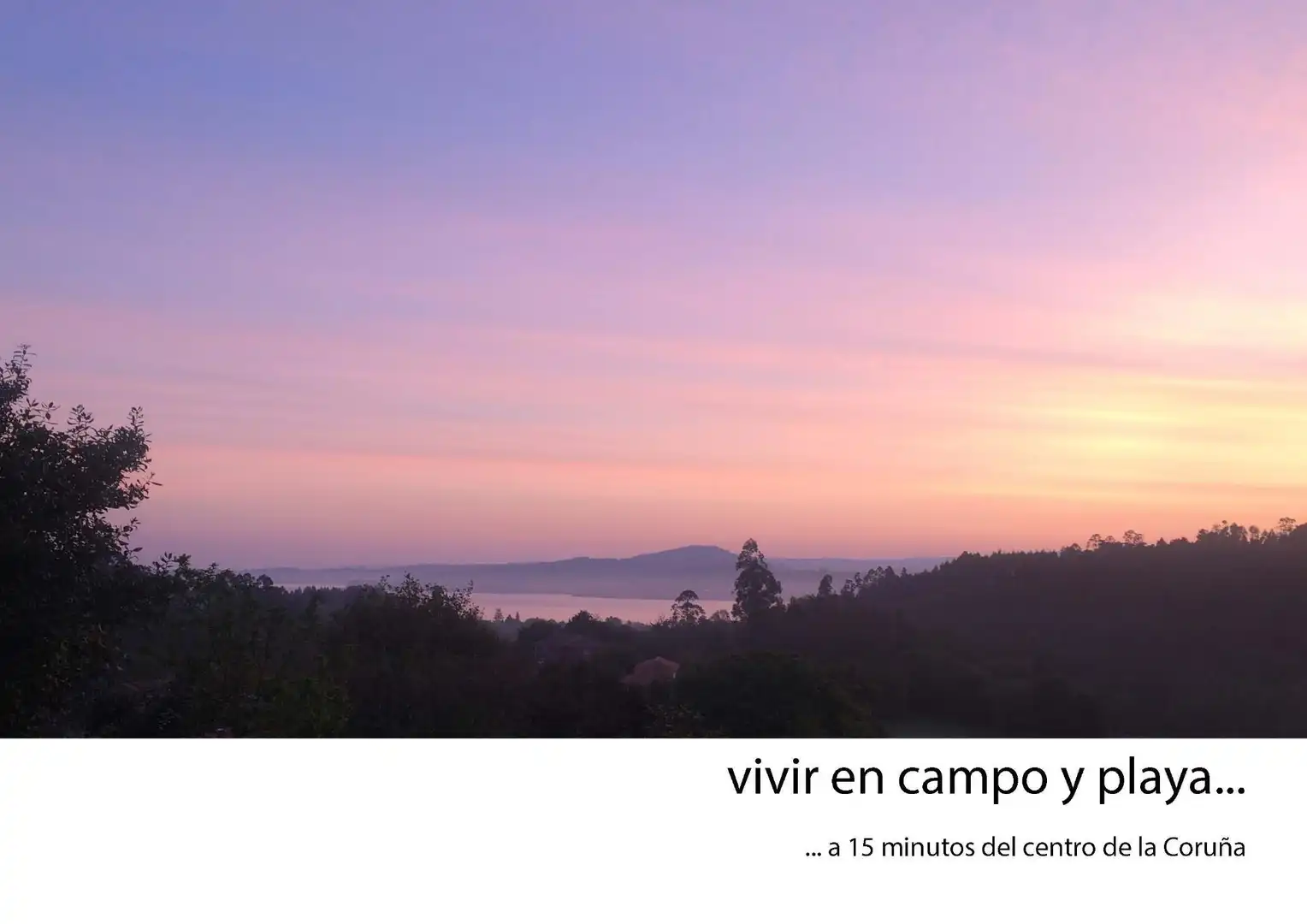 Vista exterior de Casa o chalet en venta en Bergondo con Terraza y Piscina
