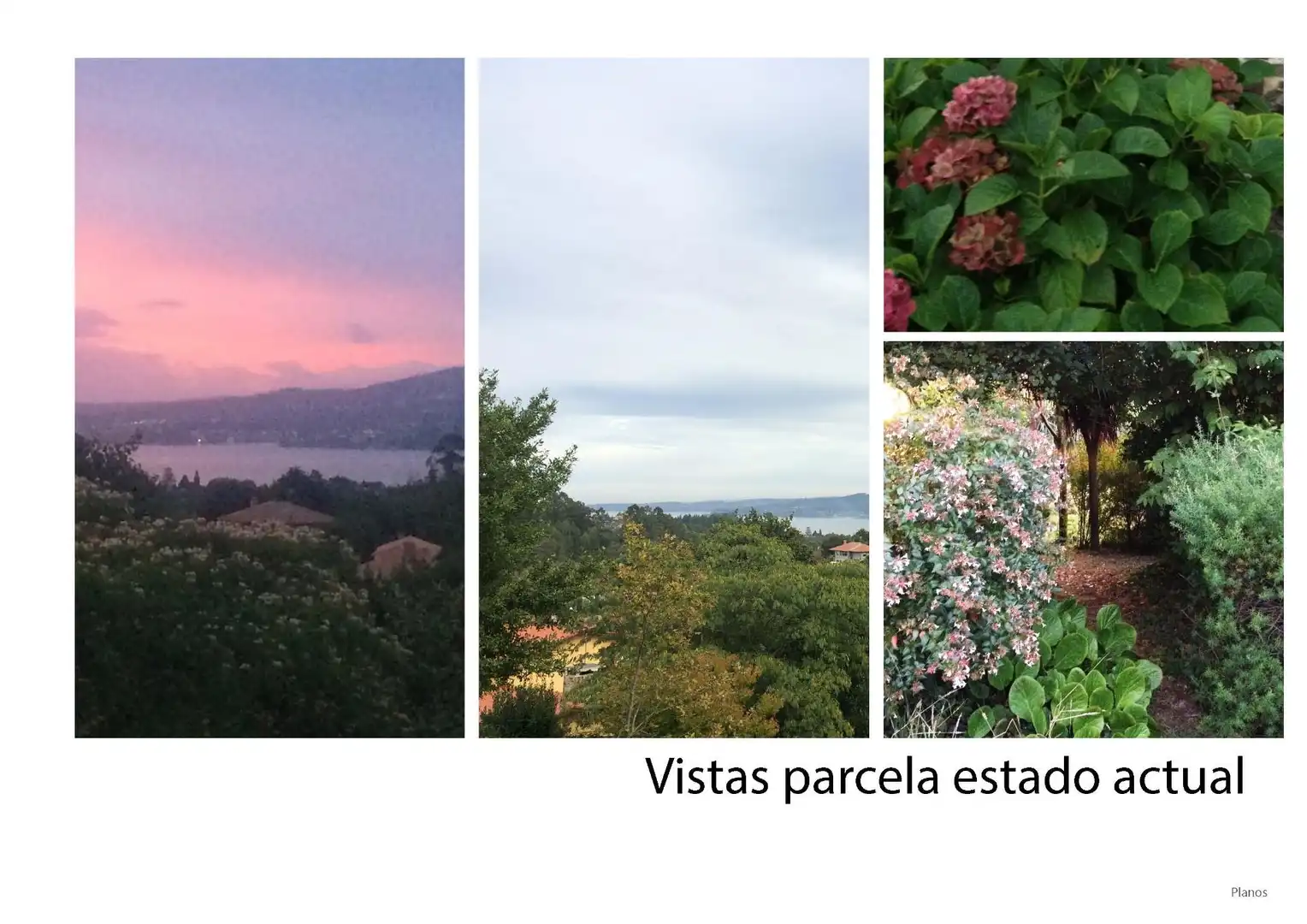 Jardín de Casa o chalet en venta en Bergondo con Terraza y Piscina