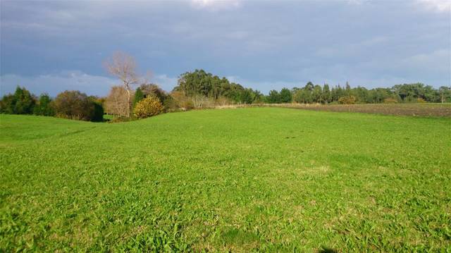 Terreno en Venta en Cudillero