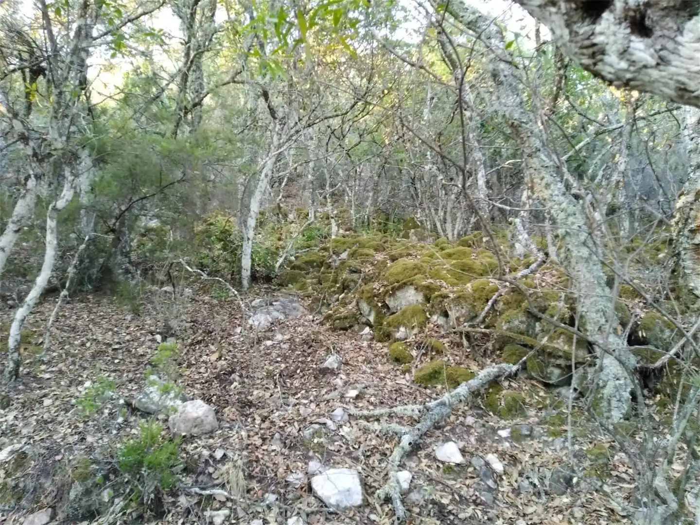 Grundstücke zum Verkauf in Carretera Pozoblanco, Villaharta Grundstücke zum Verkauf in Villaharta