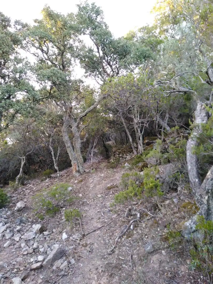 Grundstücke zum Verkauf in Carretera Pozoblanco, Villaharta Grundstücke zum Verkauf in Villaharta