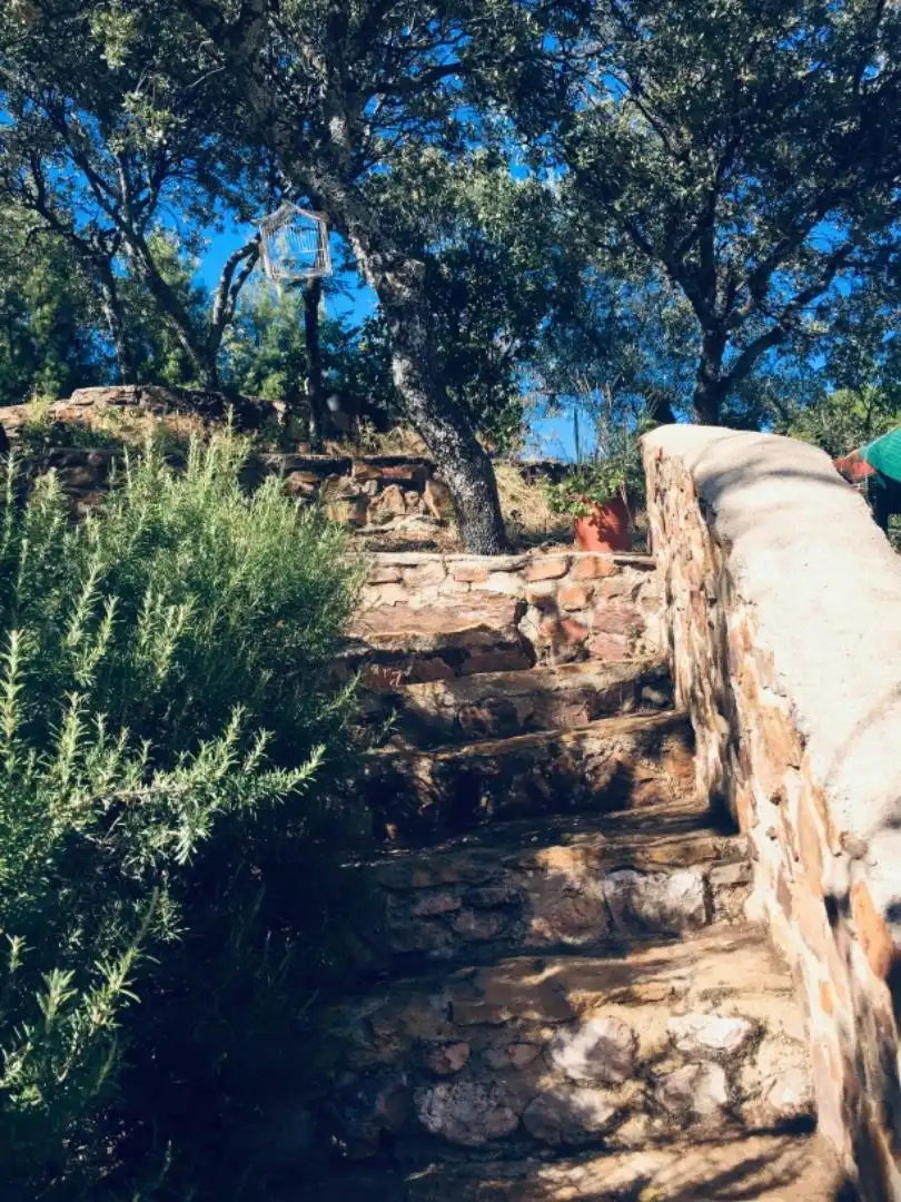 Grundstücke zum Verkauf in Carretera Pozoblanco, Villaharta Garten von Grundstücke zum Verkauf in Villaharta