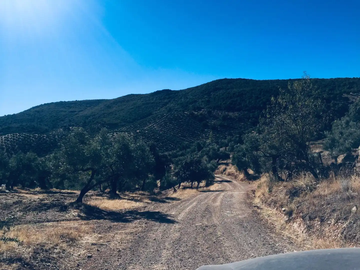 Grundstücke zum Verkauf in Carretera Pozoblanco, Villaharta Außenansicht von Grundstücke zum Verkauf in Villaharta