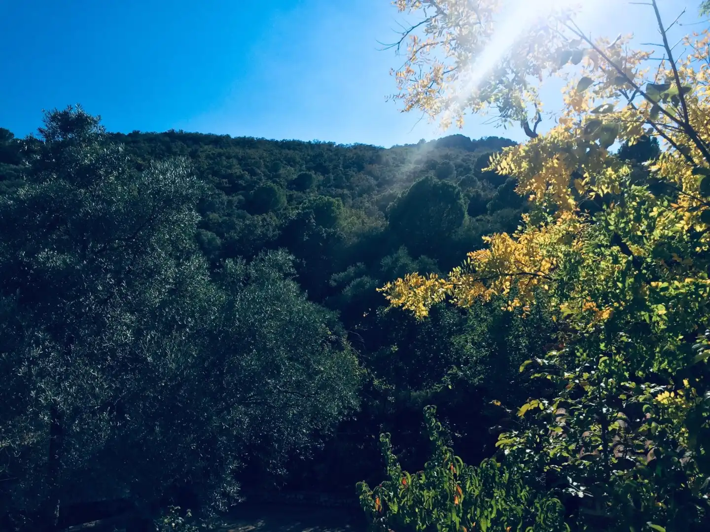 Grundstücke zum Verkauf in Carretera Pozoblanco, Villaharta Außenansicht von Grundstücke zum Verkauf in Villaharta