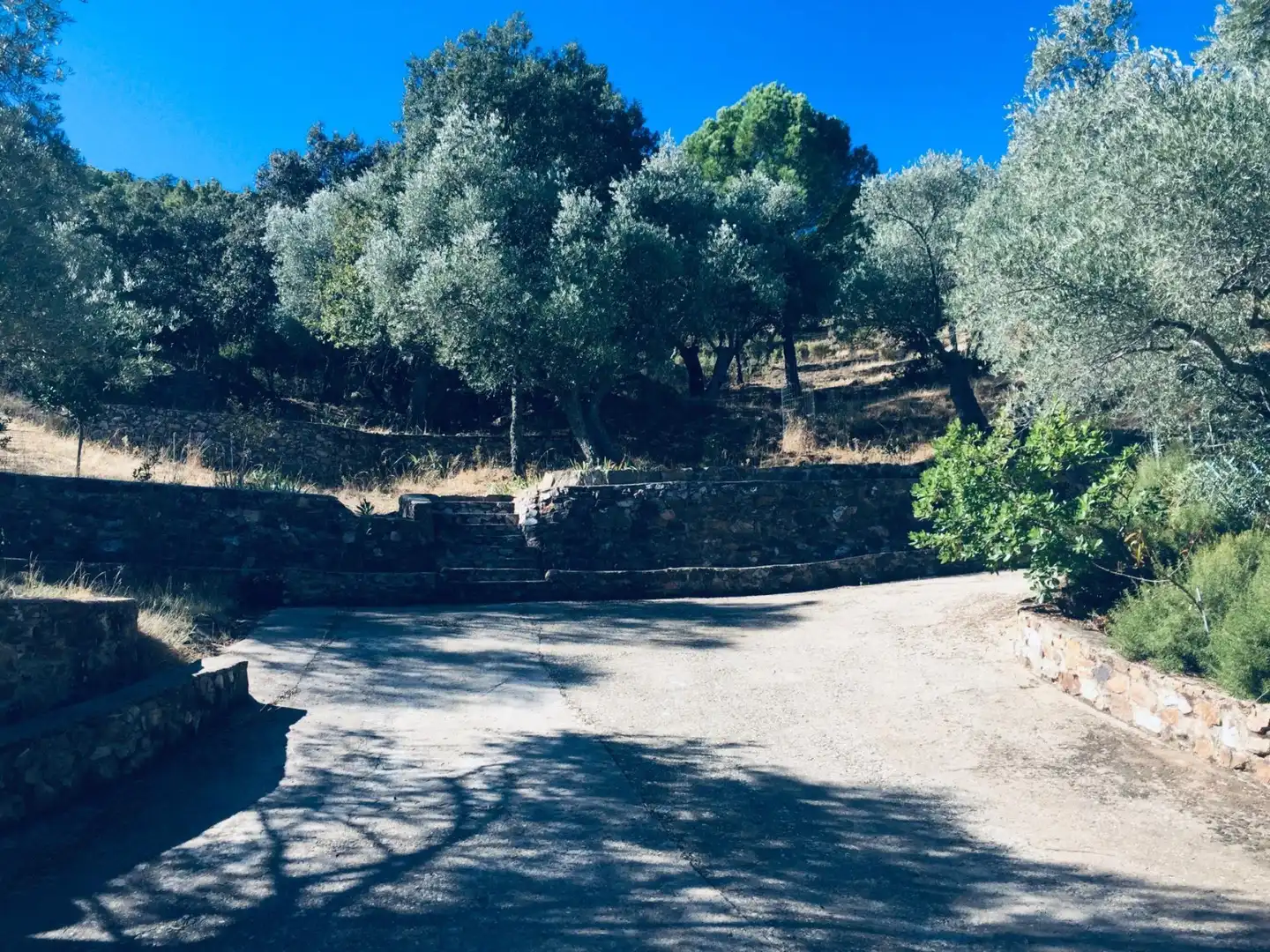 Grundstücke zum Verkauf in Carretera Pozoblanco, Villaharta Außenansicht von Grundstücke zum Verkauf in Villaharta