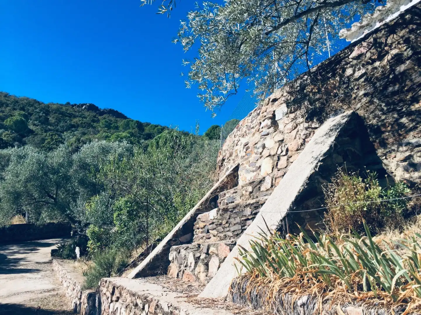 Grundstücke zum Verkauf in Carretera Pozoblanco, Villaharta Außenansicht von Grundstücke zum Verkauf in Villaharta
