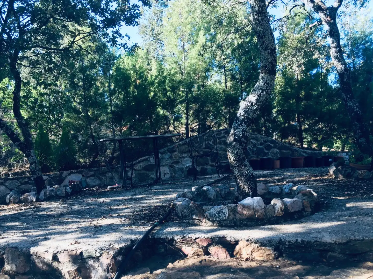Grundstücke zum Verkauf in Carretera Pozoblanco, Villaharta Garten von Grundstücke zum Verkauf in Villaharta