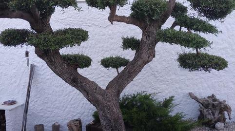 Foto 4 de Casa o xalet en venda a Calle Boverals N, 4, Boverals - Saldonar, Vinaròs