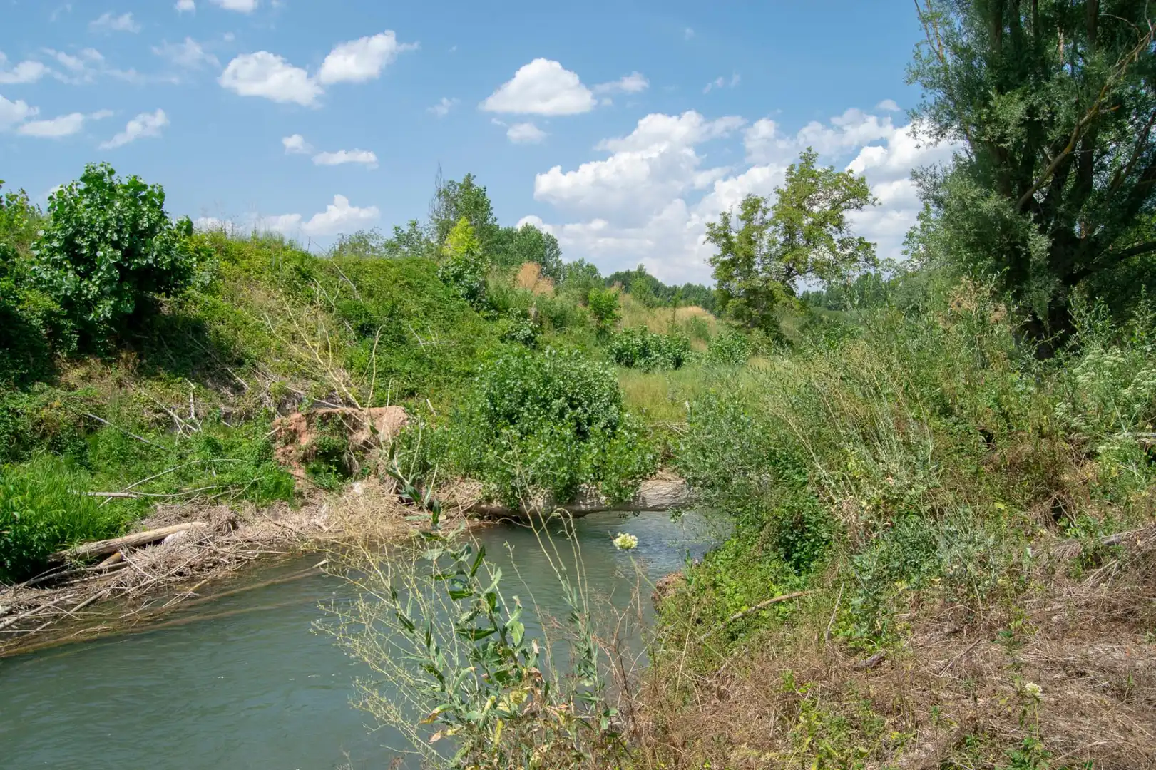 Terreno en venta en N-211, Molina de Aragón Terreno en venta en Molina de Aragón