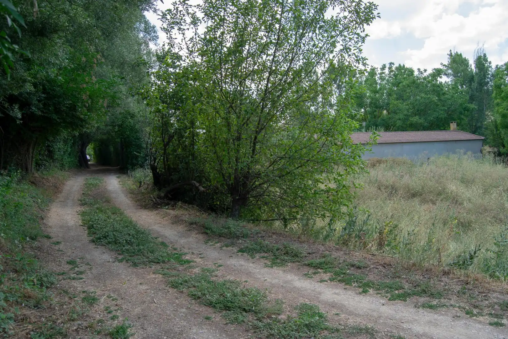 Terreno en venta en N-211, Molina de Aragón Terreno en venta en Molina de Aragón