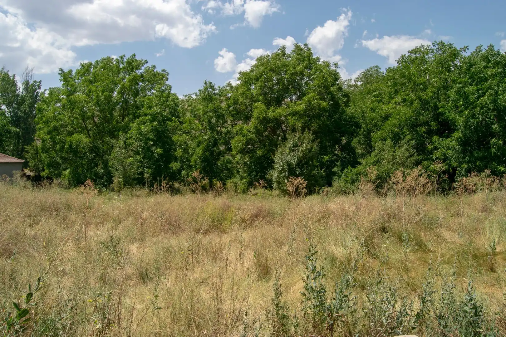 Terreno en venta en N-211, Molina de Aragón Terreno en venta en Molina de Aragón