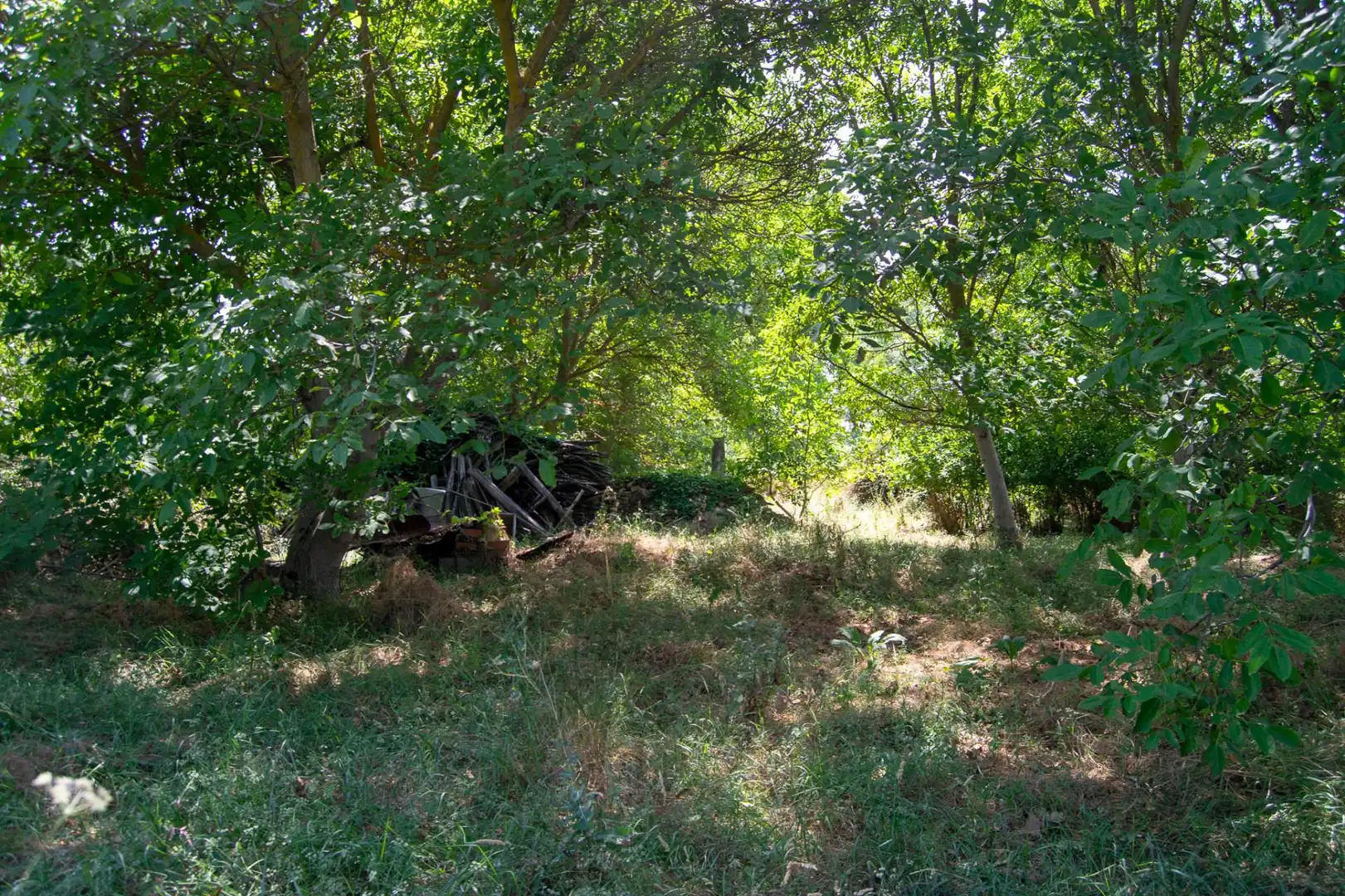 Terreno en venta en N-211, Molina de Aragón Terreno en venta en Molina de Aragón