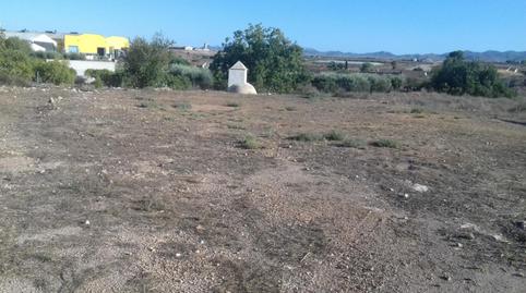 Photo 5 of Planta baja for sale in Las Cánovas - Cuevas de Reyllo, Fuente Álamo de Murcia