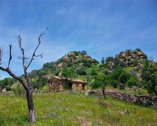 Land for sale in Calzada de Oropesa