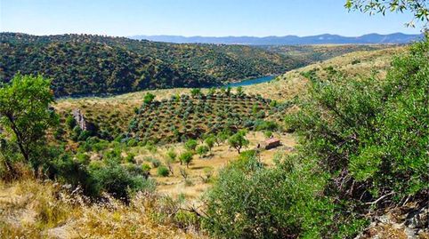 Foto 3 de Terreno en venta en Calle Ramón y Cajal, Calzada de Oropesa, Toledo