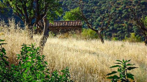 Foto 4 de Terreno en venta en Calle Ramón y Cajal, Calzada de Oropesa, Toledo