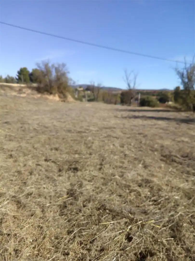 Exterior view of Constructible Land for sale in Requena