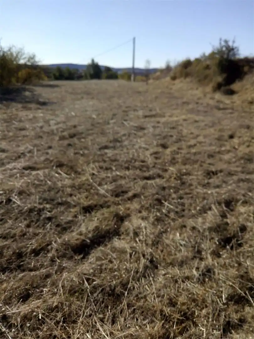 Constructible Land for sale in Requena