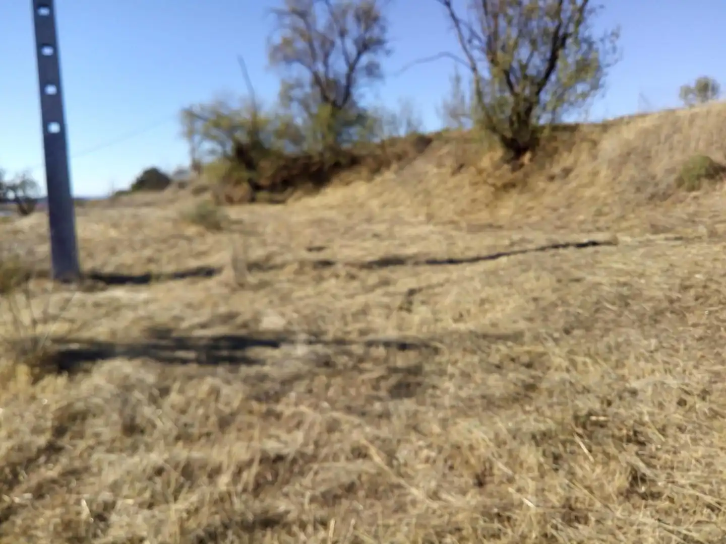 Constructible Land for sale in Requena
