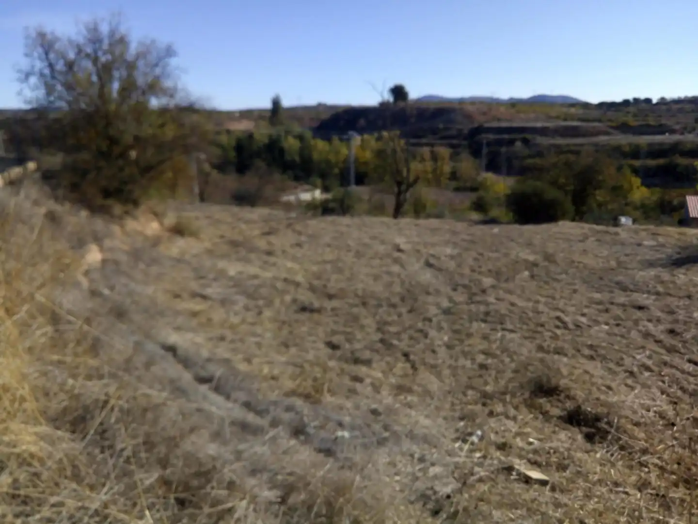 Constructible Land for sale in Requena
