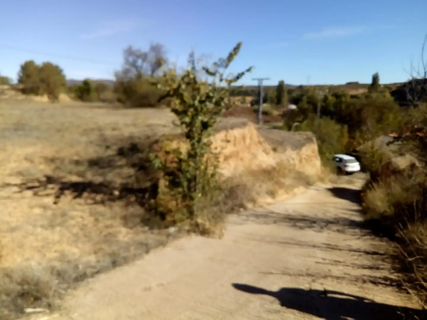 Constructible Land for sale in Requena