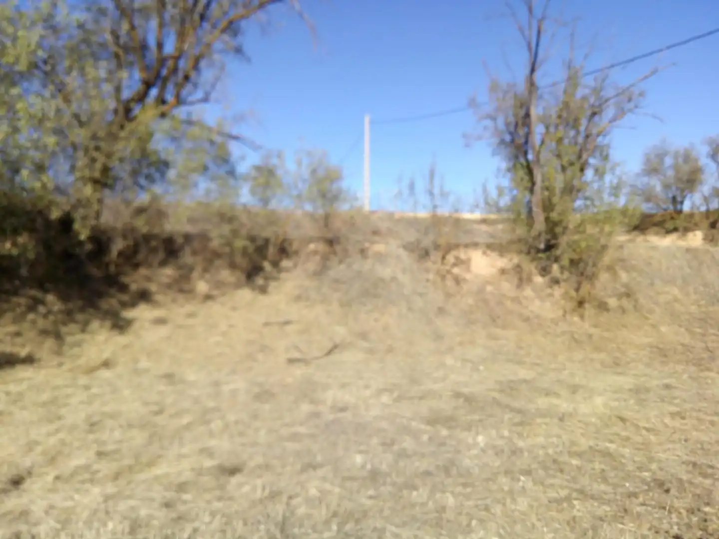 Constructible Land for sale in Requena