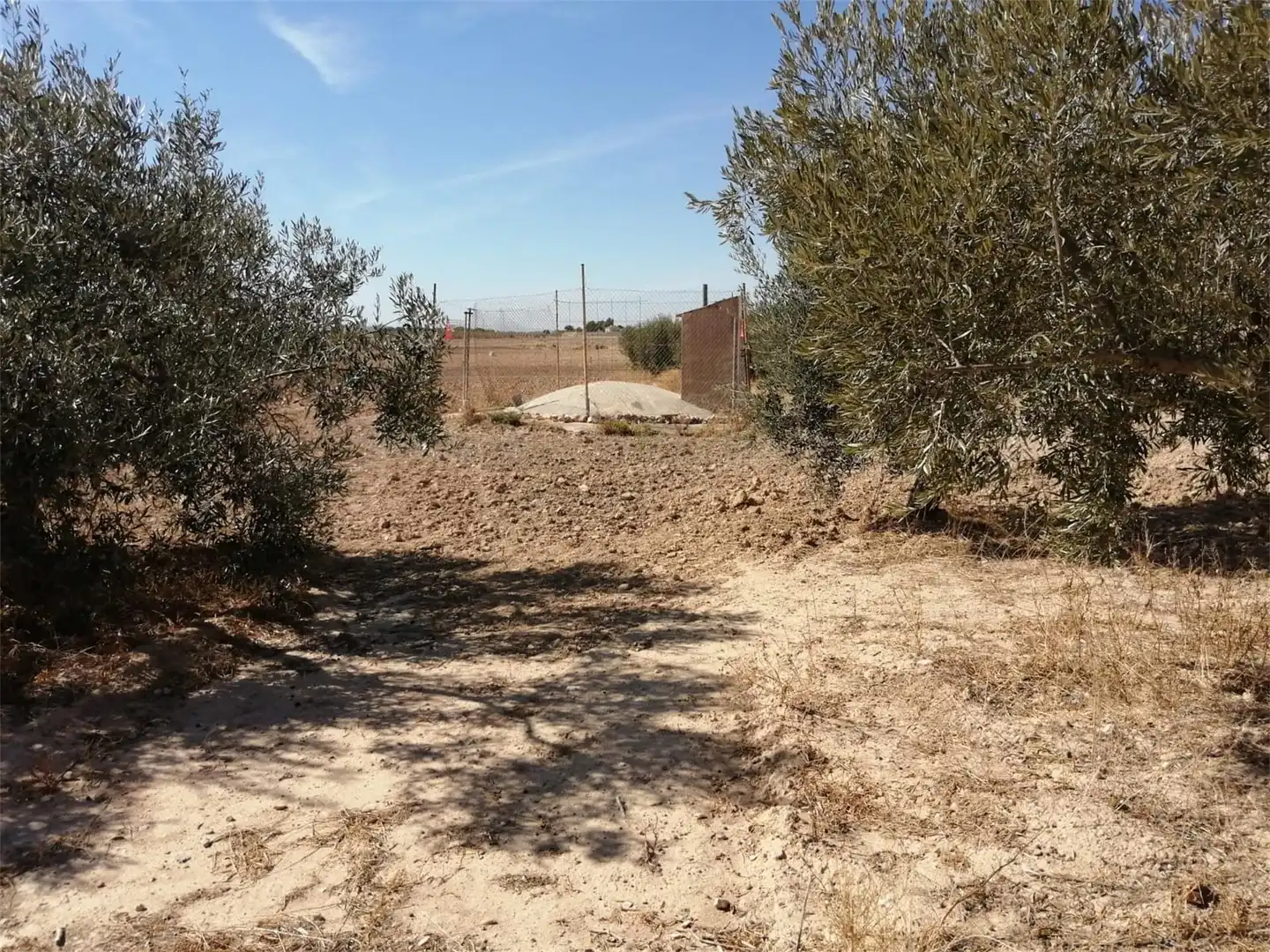 Terreno en venta en Torre-Pacheco