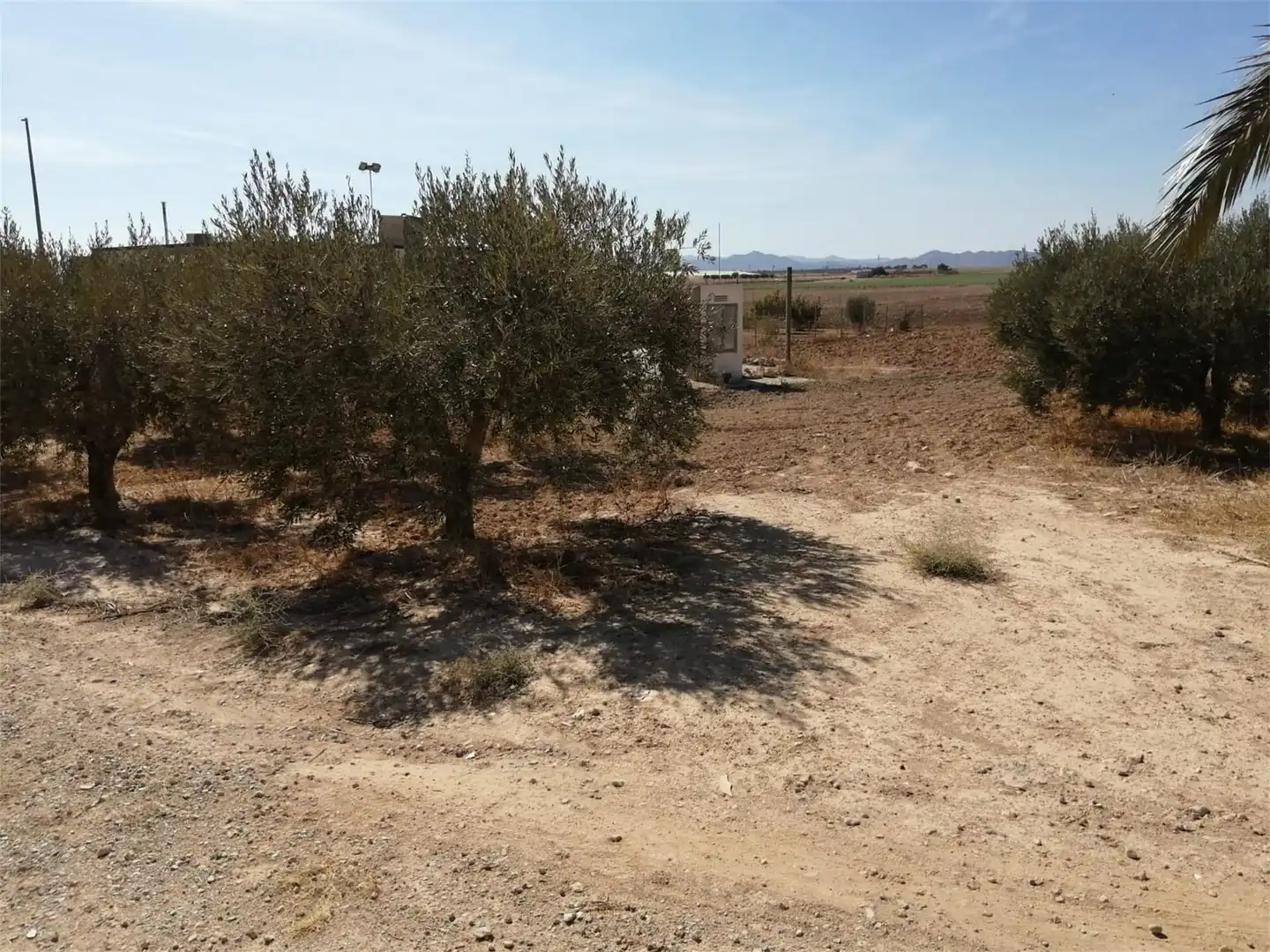 Terreno en venta en Torre-Pacheco