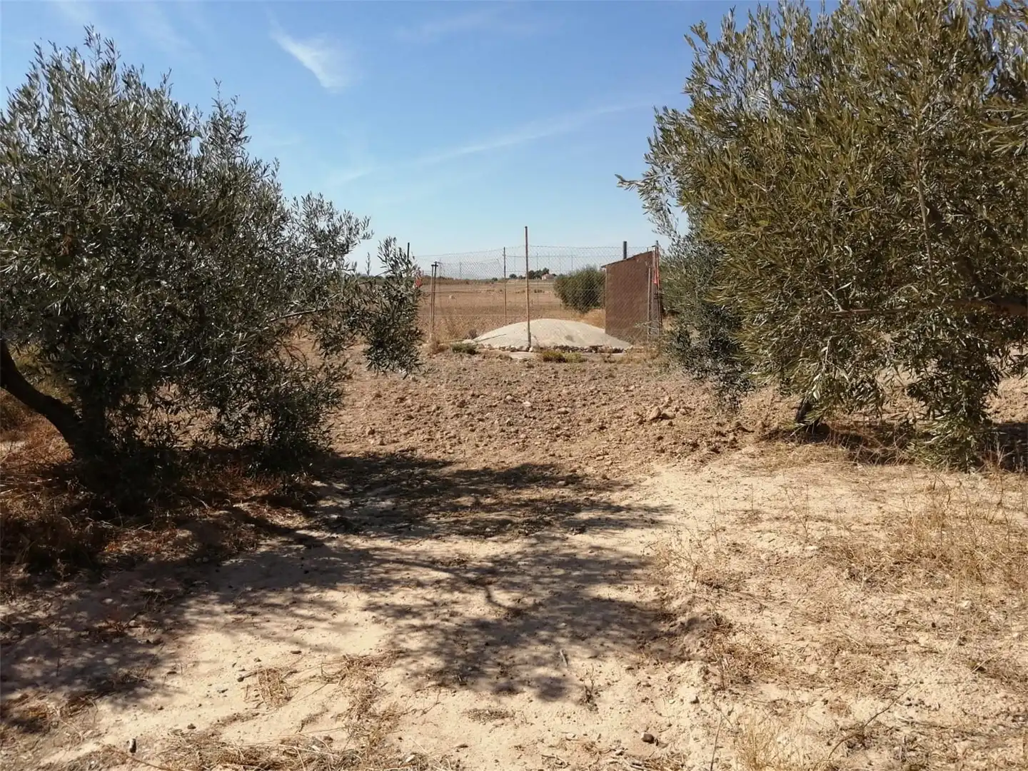 Terreno en venta en Torre-Pacheco