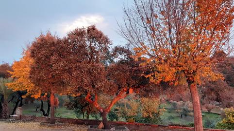 Finca rústica en venda a A-6177, Andújar, Jaén - imatge 4 Foto 4 de Finca rústica en venda a A-6177, Andújar, Jaén